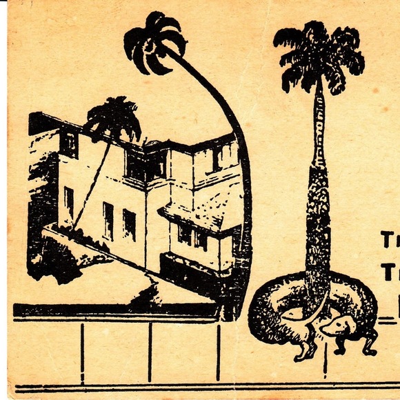 Meet your Posher, Mercedes - Picture 1 of 1